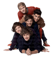 One Direction milla1959 - png grátis