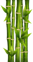 bamboo bp - besplatni png