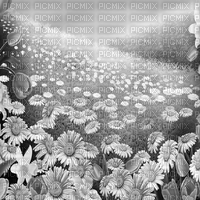 Y.A.M._Spring background black-white - 無料png