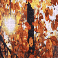 automne fond gif autumn bg - Free animated GIF