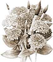 soave deco flowers vintage spring brush branch - ilmainen png