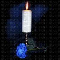 شمعه ووردة زرقاء - Darmowy animowany GIF