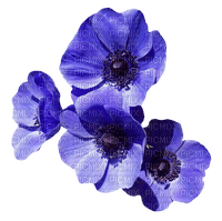 blommor-blå--flowers-blue - фрее пнг