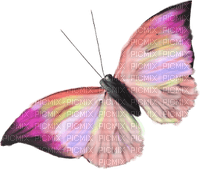 butterfly - besplatni png