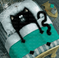 Cat, Katze, Bett - Ilmainen animoitu GIF