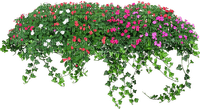 Bloemen en Planten - kostenlos png