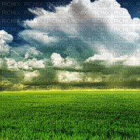 Y.A.M._Landscape background - 免费PNG