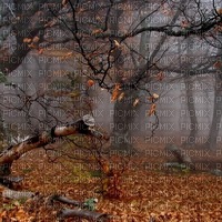 Осенний фон - nemokama png