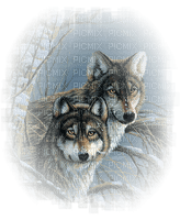 loly33 loup - gratis png