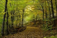 maisema landscape syksy autumn - png grátis