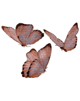 brown light butterfly's tube - ücretsiz png