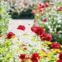 Red Flowers Background - GIF animasi gratis