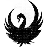 Cygne noir - PNG gratuit