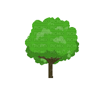 Tree - Nemokamas animacinis gif