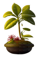 plante - PNG gratuit