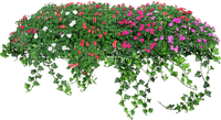 Kaz_Creations Garden Deco Flowers - gratis png