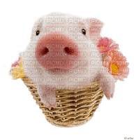 pig by nataliplus - png grátis