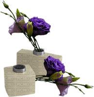 violeta - ücretsiz png