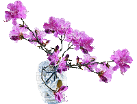 fleur bagulnik, gif, Pelageya - Бесплатный анимированный гифка