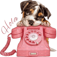 Dog/phone - ingyenes png