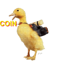 coin coin - Ingyenes animált GIF