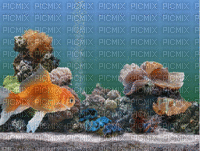 fish deco - GIF animado grátis