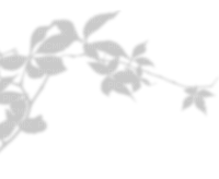 Shadow Plant - PNG gratuit