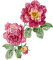 décor fleurs/clody - 無料png