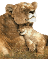 Kaz_Creations Animals Lions Cub - PNG gratuit