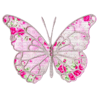 Vintage.Butterfly.Green.Pink - ilmainen png