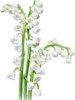 soave deco flowers spring lily of the valley white - png gratis