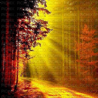 Rena Sunrise Forest Hintergrund Landschaft - фрее пнг
