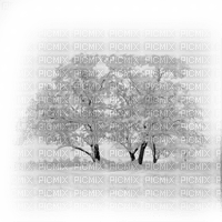 kikkapink winter tree trees transparent background - png grátis