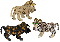 Petz Leopards - Bezmaksas animēts GIF