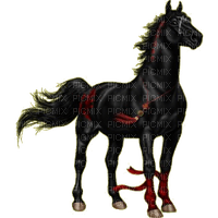 Horse - Free PNG