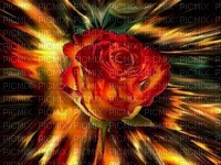 rózsa - ücretsiz png