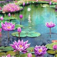 Sfondo fiori di loto - ücretsiz png
