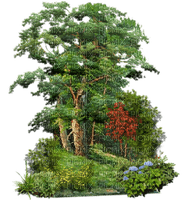 foret - kostenlos png