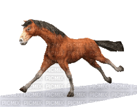 aze cheval s34 marron Brown - Kostenlose animierte GIFs