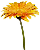kikkapink deco autumn flower - PNG gratuit