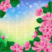 Y.A.M._Spring Summer background - zdarma png