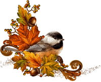 autumn deco bird Bb2 - бесплатно png
