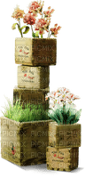 Cajas de flores - PNG gratuit