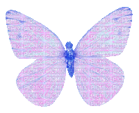 pink butterfly - GIF animasi gratis