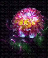 фонгуля цветыгуля - Безплатен анимиран GIF