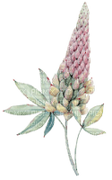 kikkapink lavender flower - nemokama png