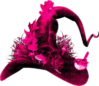 Witch.Hat.Pink - png grátis
