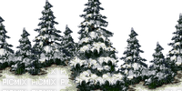 trees-snow - nemokama png