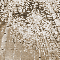 Y.A.M._Autumn background Sepia - 無料のアニメーション GIF