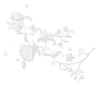 White lace - Free PNG